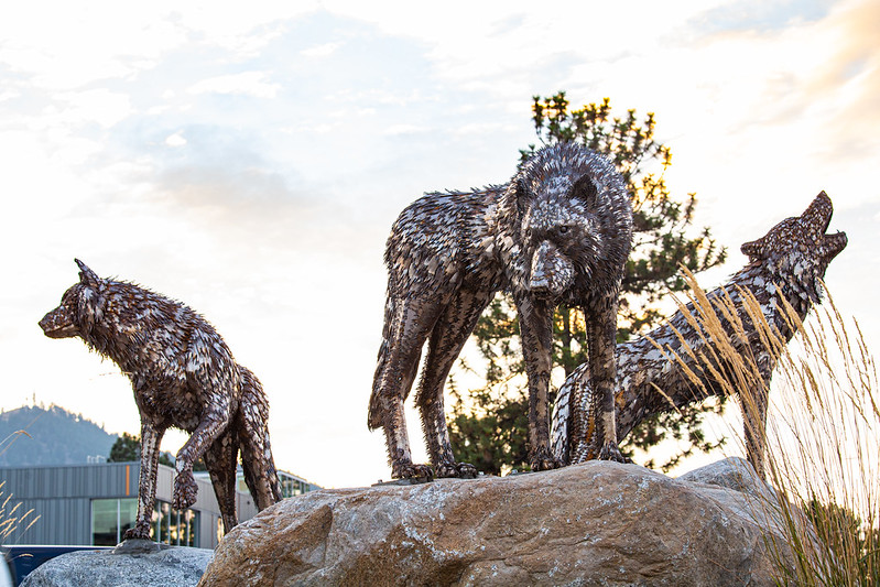 A metal sculpture of three wolves stands atop large rocks. One wolf looks forward, another lowers its head, and the third tilts its head back as if howling. The sculpture is set against a backdrop of trees and a partly cloudy sky on Thompson Rivers University campus.
